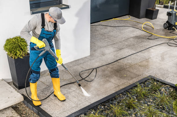 Best Roof Pressure Washing  in Ceres, CA